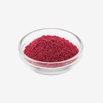 이든 천연색소 국산 백년초 분말 가루 파우더 100g, 1개 : 베이킹팜