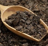 천년고도 세계 명차 운남성 보이차 세트 : 햇살의료기