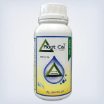 코리아아그로 루트칼(500ml) 액상 식물칼슘제 관주 엽면시비 킬레이트 : 비료팜스토어