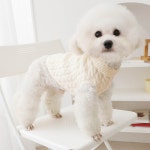 강아지 옷 가벼운 반려동물 패션 니트 스웨터(아이보리) : 아롱다롱펫샵
