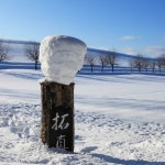 [디럭스투어] 흰그림자투어 소규모 비에이 후라노 디럭스 일일투어 : 흰그림자투어 주식회사