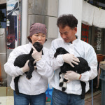 오복건강원 흑염소 진액 엑기스 60팩 효능 예천 자연방목 : 예천 오복건강원