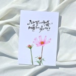 부산 캘리그라피 취미 붓펜캘리 수채화캘리 자격증 : 제제캘리그라피