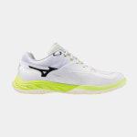 [박경민코치 실착] 미즈노 웨이브 팡2 와이드 배드민턴화 스쿼시화 인도어화 : SHKMALL