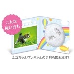 점핑클레이 메모리얼 어음 (JPCMT001) : 바루마켓