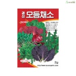 모듬채소 2g 치커리 겨자 오크린 상추 씨앗 씨 종자 : 아그로피아