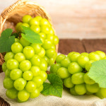 ★선착순200박스★ 25년 제철맞은 달콤한 노지 샤인머스켓 1KG 초특가 : 할인마왕