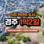 2025년 역사 속 웰니스 여행 경주 1박2일-11월 29일 토~11월 30일 일 : 주식회사쏙쏙