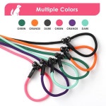 라이펄트 슬립 리드 개 목줄 금속 스토퍼가 있는 6피트 내구성 리드 모든 품종을 위한 : 포레인비