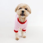 그루밍독 마이베이비 맨투맨 애완견옷 강아지옷 티셔츠 : 루비앙펫