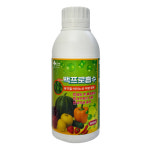 백프로흡수 해조추출물 비료 영양제 발근력 당도 향상 500ml : 동성제약 주식회사