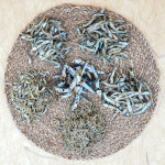 청정해역 국내산 최상의 멸치 1.5kg : 남원용담골추어탕