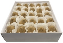 태양 원뜸 50개 쑥뜸 좌훈 : 이오메디칼