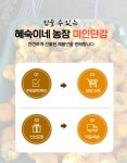 순천미인 단감(10kg)/ 대봉(15kg) 농가 직송 순천 청정지역 맑은 공기 최상의 조건수확 : 순천 미인 단감 및 대봉