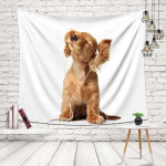 뮤직댕댕이 패브릭 인테리어 포스터 3사이즈 : 에스에스마트