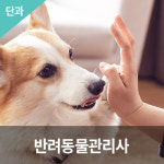 반려동물관리사 반려동물 취업 자격증 애견관리 온라인 강의 : 한국반려동물아카데미