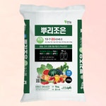 뿌리조은(20kg) 마늘 양파 황산칼리 PAA 뿌리활착 복합비료 : 비료팜스토어