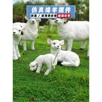 스마일마켓A 야외 양 모형 염소 가짜 인기 조형물 장식 유리강 장식품 동물 경관 매장 단지 어린 양 E : 스마일마켓a