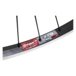 Wheel Master WHL RR 27.5 584x19 WEI 519 BK MSW 36 WM MT5000 FW 5/6/7sp BO 3/8 135mm 14gBK : Aurora Agency