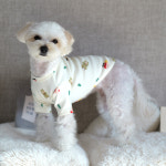 산타몽 피치기모 티셔츠 신축성좋은 국산 강아지옷 루나몽 애견 반려견 가을겨울 크리스마스 : Lunamong