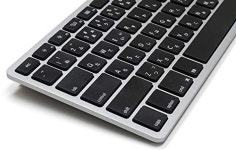 Matias Wired Aluminum Tenkeyless keyboard for Mac Space Gray 일본어 배열 USB 실버 : JIROHANA