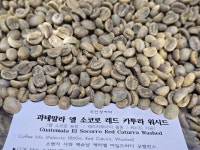 과테말라 엘 소코로 레드 카투라 워시드 각 250그람 500그람 : 주인장이볶는커피