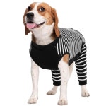 쿠셔 도그 바디 후 - 오프 캐스트레이션, 다크 : 승마라운지