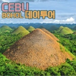 보홀데이투어 보홀데이트립 보홀육상투어 세부출발 세부도착 : 세부플라워트리