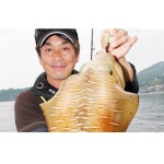 DUEL 듀엘 PE라인 낚싯줄 낚시라인 낚시도구 라인 X8 고감도 에깅 고강도 03-IR : 트렌디구대 재팬4