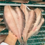 국내산 손질 반건조 기름가자미 1kg 개별포장 미주구리 말린생선 : 으뜸오징어