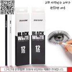12Pcs 블랙 화이트 컬러 연필 아티스트 초급 미술 학교를위한 영구 드로잉 오일 기반 나무 : 더라인상사