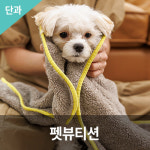 펫뷰티션 자격과정 애견미용 자격증 미용 실습 온라인 강의 : 한국반려동물아카데미