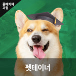 펫테이너 전문과정 반려동물 취업 창업 자격증 : 한국반려동물아카데미