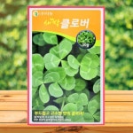 네잎클로버 씨앗 모종 식물 행운의 클로버 식물 키우기 재배 키트 30g : THE행복상점