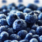 생 블루베리 칠레산 라지사이즈 14mm 125g x 3팩 항산화 스무디 아이스크림 토핑 : 푸드령