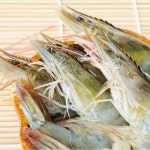 싱싱한 제철 새우 : 군산대해수산