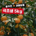 이음텃밭 서귀포시 노지감귤 5kg : 제주이음텃밭