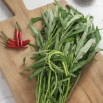 공심채 GAP인증 청정 국산 신선채소 500g : 처음농장