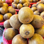 [강서구·양천구 배달] 국산 골드키위 7개 [화곡본동 싱싱농장] : 동네시장 장보기