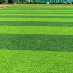 축구장 인조 잔디밭 야외 베란다 잔디 실내 카펫 구장 15mm 비밀 수출 (2 x 25) : gigugigu21