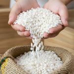 청정 해남 찹쌀 10kg 해풍의 풍미를 가득 담은 한반도 땅끝쌀 비옥한 토양 : 올곧농장