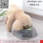 애완 동물 부력 그릇은 젖은 입을 줄입니다. 유출 방지 개와 고양이를 위한 범용 : 더라인상사