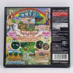 NDS 목장이야기 쌍둥이마을  일본판 닌텐도 DS 중고 게임 칩 타이틀 : 쨍오프