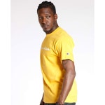 챔피언 남성 티셔츠, 코튼 미들급 크루넥 남성용 대본(또는 빅 & 톨) 티셔츠 Team Gold Script Medium : 민페이