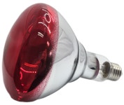 필립스 적외선 램프 전구 250W 의료용 E27 : 이오메디칼