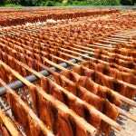 [육징어] 국내가공 쫄쫄이오징어 마른 건 오징어 10미 : THE 싸다구마켓