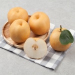 유쎌스토어 신고배 가정용 15kg(13-20과) (상) 과일 알뜰신고배 달고맛있는배 : 유쎌스토어