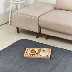 리치한일의료기 프리미엄 순면 EMF 탄소매트 전기요 온열 전기장판 : 주식회사 명문로지스틱