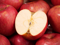 아산맑은 내뜰사과 가정용 천홍 미니사과 1Kg, 2Kg : 아산맑은몰