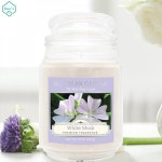 소이 유리병타입 캔들 대형 567g 양초 향초 디퓨저 : 홈프랜즈